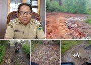 Jalan-jalan Rusak Tanpa Perhatian, Seorang Warga Manggarai Timur Serang Bupati Andreas Agas di Media Sosial