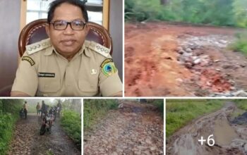 Jalan-jalan Rusak Tanpa Perhatian, Seorang Warga Manggarai Timur Serang Bupati Andreas Agas di Media Sosial