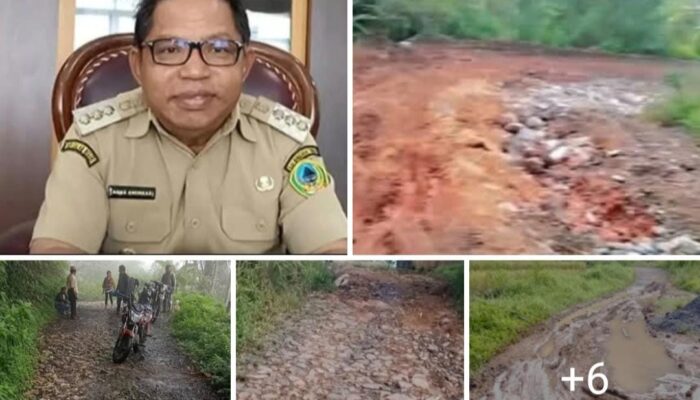 Jalan-jalan Rusak Tanpa Perhatian, Seorang Warga Manggarai Timur Serang Bupati Andreas Agas di Media Sosial