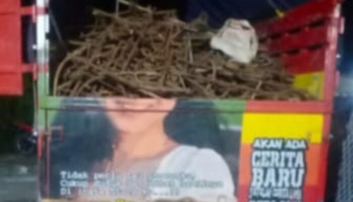 Bobrok! Operasi Gelap Penjualan Besi Proyek RS Lehong: 18 Ton Diangkut Malam Hari, Diduga Ada Pembiaran dan Oknum Polisi di Balik Jaringan Ilegal