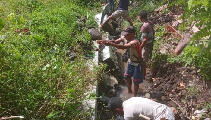 CV Gracia Disorot! Proyek Irigasi Wae Munting Rp1,5 Miliar Diduga Tak Sesuai Spesifikasi, Petani Desa Bamo Jadi Kecewa