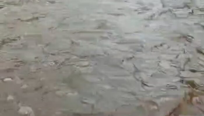 Jalan Lapen Kisol–Padang Terendam Banjir Saat Hujan, Warga Desak Pemerintah Segera Bangun Drainase