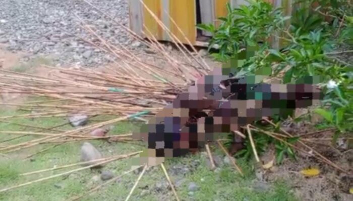 Tertancap Puluhan Panah di Sekujur Tubuh, Seorang Warga Kwamki Narama Tewas